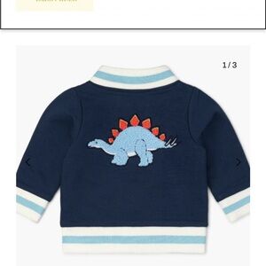 Kids Stegosaurus Embroidered Navy Sweatshirt